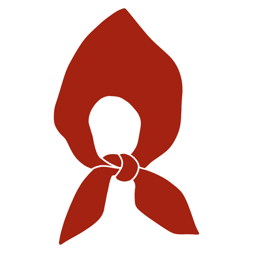 Popup image
